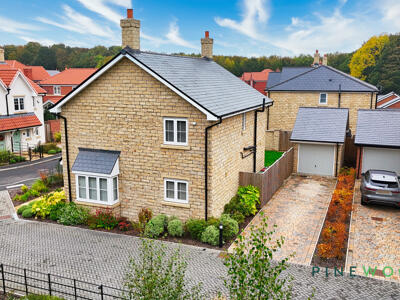 Side / Rear (Exterior)